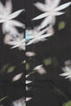 Yucca Shirt Dark Flower